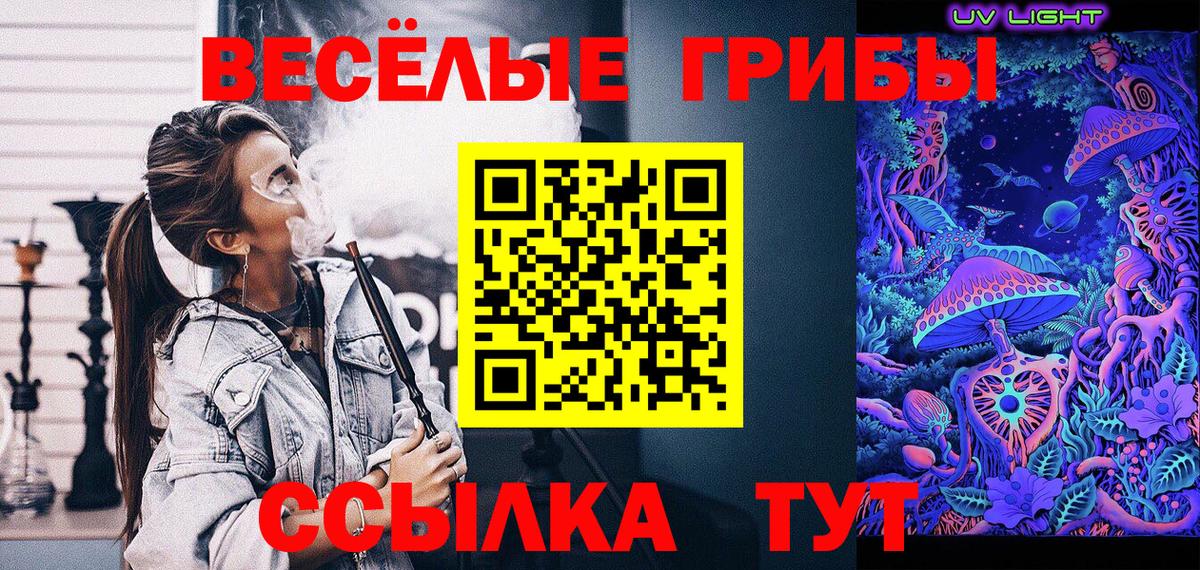 Галлюциногенные грибы GOLDEN TEACHER Павловский Посад